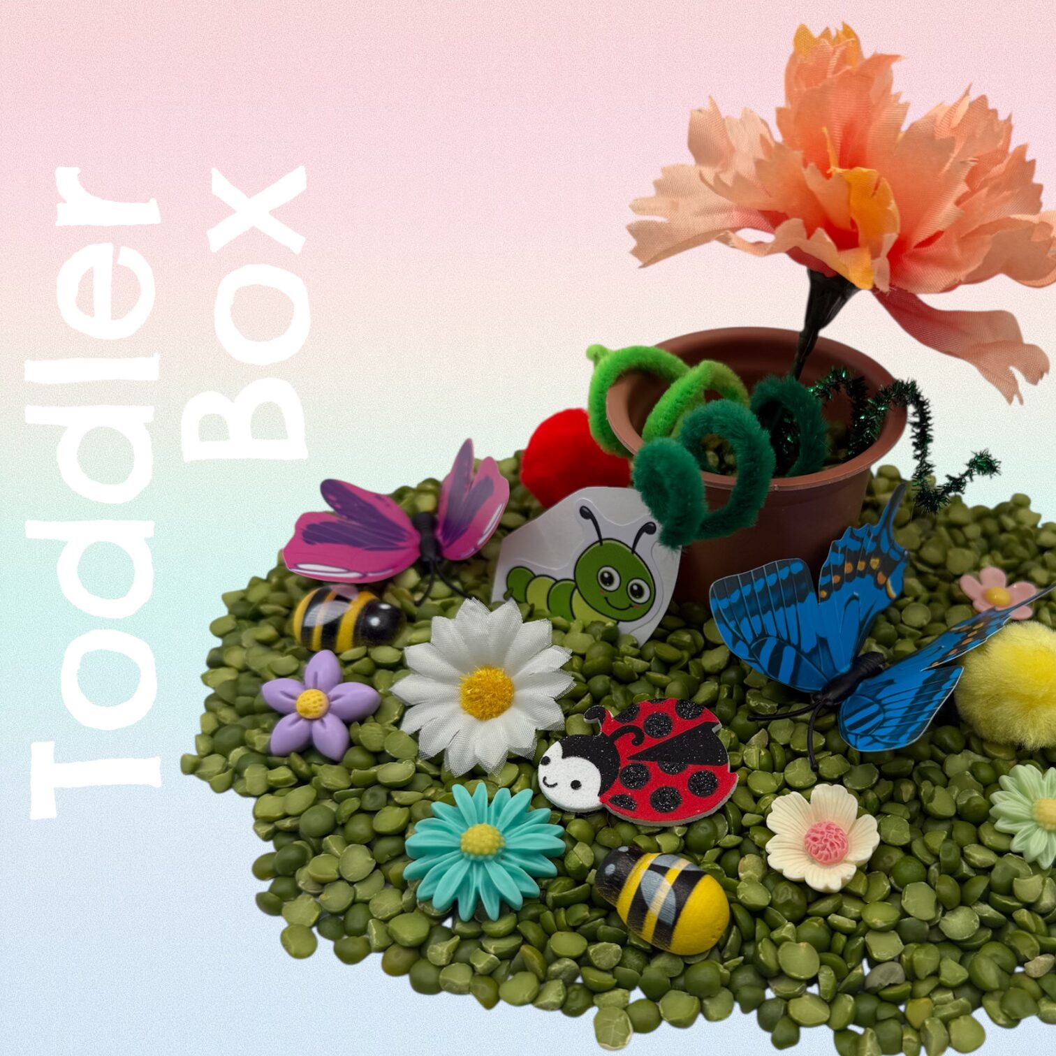 Toddler box with flowers and insects.